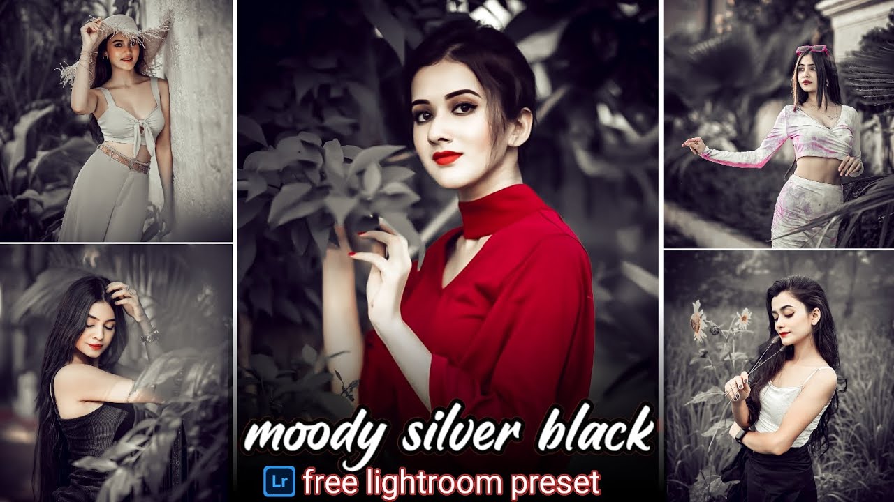 moody silver black tone lightroom preset