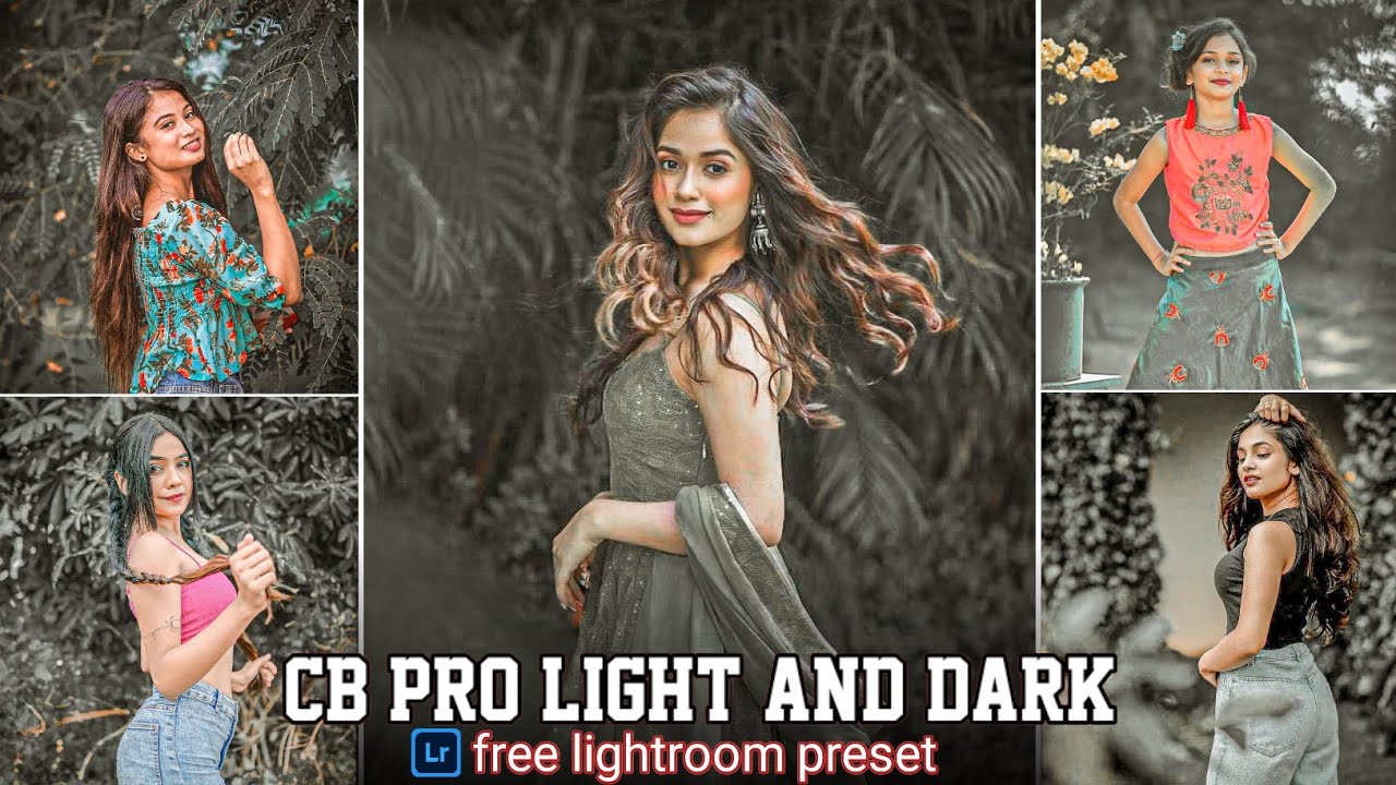 Cb Pro Light And Dark Tone Lightroom Preset