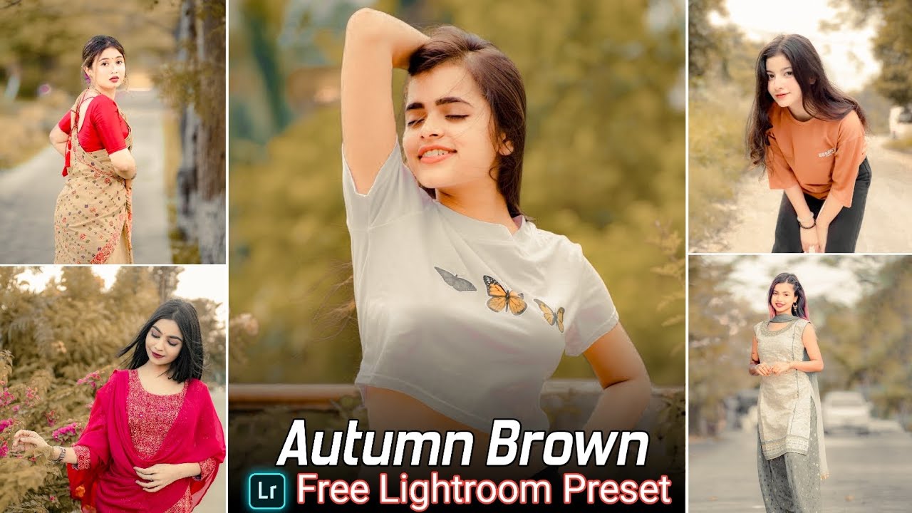 Autumn Brown Tone Lightroom Preset Free Download