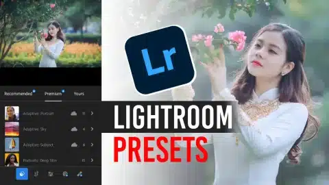 AR Editing Lightroom Presets Free Download for Cinematic Photo Editing