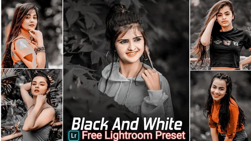 Black And White Tone Lightroom Preset Free Download