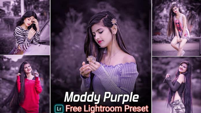 Moddy Purple Tone Lightroom Presets Free Download Without Password