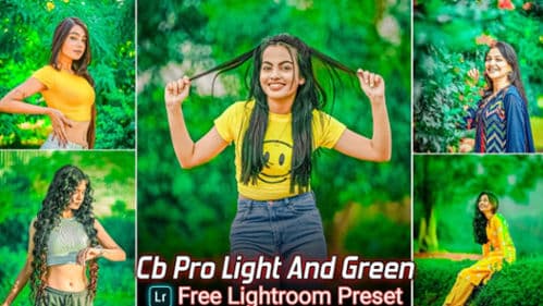 Cb Pro Light And Green Tone Lightroom Presets Free Download