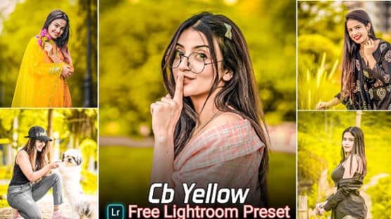 Cb Yellow Tone Lightroom Presets Free Download