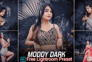 Moddy Dark Tone Lightroom Presets Free Download