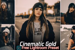 Cinematic Gold Tone Lightroom Presets Free Download