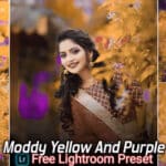Moddy Yellow And Purple Tone Lightroom Presets Free Download