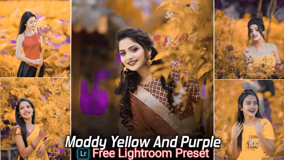 Moddy Yellow And Purple Tone Lightroom Presets Free Download