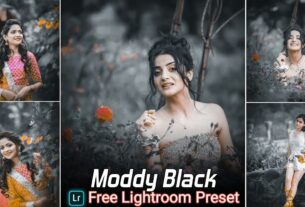 Moddy Black Tone Lightroom Presets Free Download