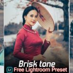 Brisk Tone Lightroom Presets Free Download