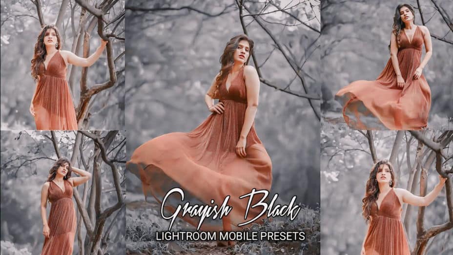 Grayish Black Tone Lightroom Presets Free Download
