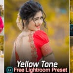 Yellow Tone Lightroom Presets Free Download