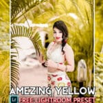 Amezing yellow Tone Lightroom Preset free download