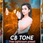 CB Tone Lightroom presets free download