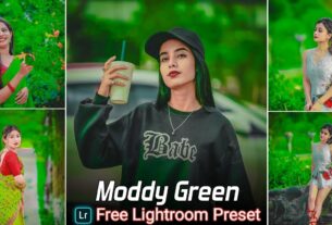 Moddy Green Tone Lightroom Presets Free Download