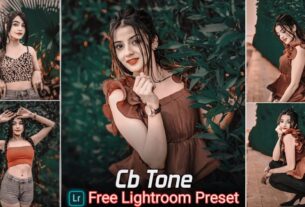 New Cb Tone Lightroom Presets Free Download