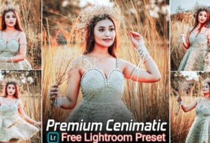 Premium Cenimatic Tone Lightroom Presets Free Download