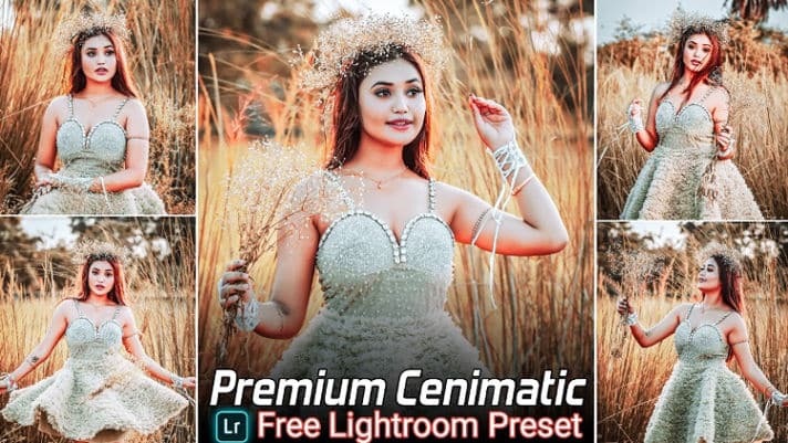 Premium Cenimatic Tone Lightroom Presets Free Download