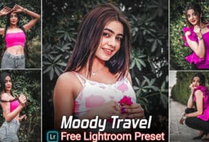 Moody Travel Lightroom Presets Free Download