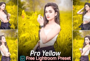 Pro Yellow Tone Lightroom Presets Free Download