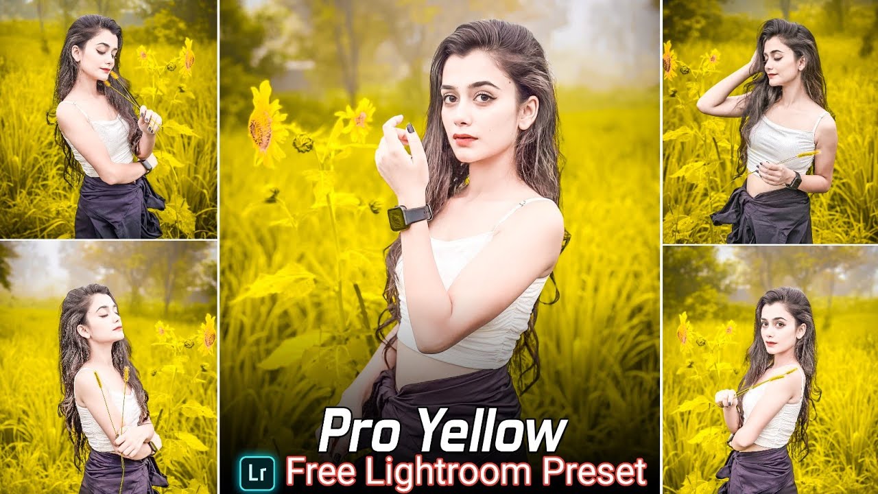 Pro Yellow Tone Lightroom Presets Free Download