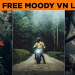 Moody Vn Luts Free download | Moody green vn luts