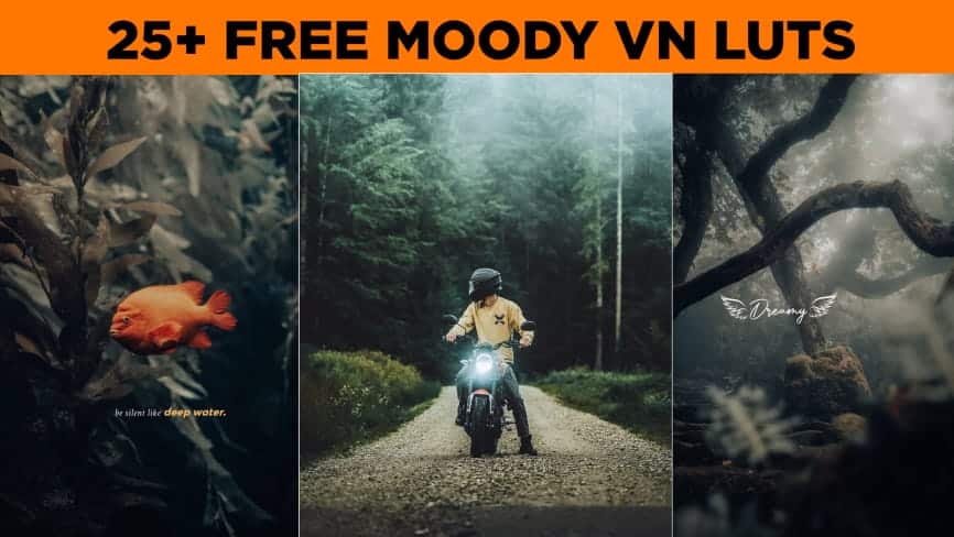 Moody Vn Luts Free download | Moody green vn luts