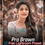 Pro Brown Lightroom Presets Free Download | lightroom presets