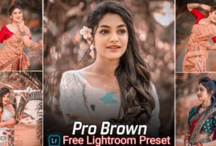 Pro Brown Lightroom Presets Free Download | lightroom presets