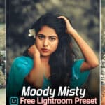 Moody Misty Lightroom Presets Free Download