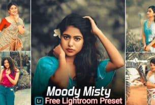 Moody Misty Lightroom Presets Free Download