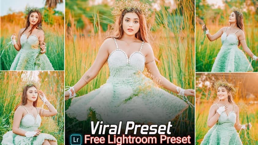 Viral Lightroom Presets Free Download