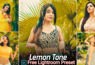 Lemon Lightroom Presets Free Download