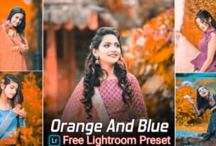 Orange And Blue Lightroom Presets Free Download