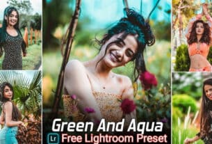 Green And Aqua Lightroom Presets Free Download