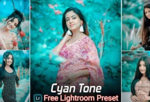 Cyan Tone Lightroom Presets Free Download