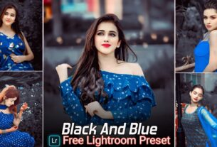 Black And Blue Lightroom Presets Free Download