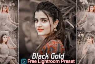 Black Gold Lightroom Presets Free Download