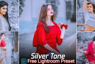 Silver Tone Lightroom Preset Free Download