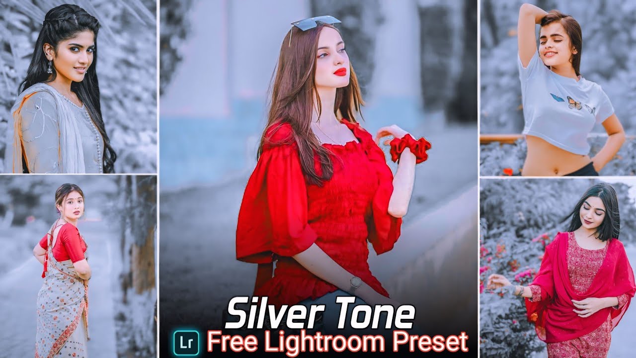 Silver Tone Lightroom Preset Free Download