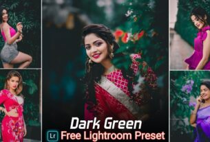 Dark Green Lightroom Presets Free Download